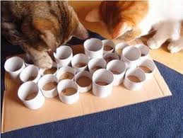 Jeu Fait Maison Pour Chats 10 Diy Pour Chiens Et Chats Once A Diy Plus Jeux Pour Chat Chien Chat