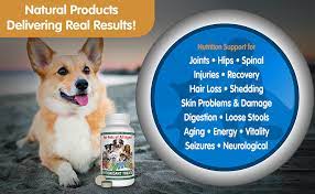 Maybe you would like to learn more about one of these? Amazon Com Nzymes Antioxidant Treats For Dogs Joints Hips Paralysis Skin Coat Hair Loss Aging Digestion Neurological Seizures 60 Treats Made In The Usa Everything Else