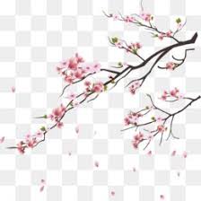 Flowers Png Flowers Transparent Clipart Free Download Wedding Videography Photographer Photo Flower Png Images Cherry Blossom Drawing Cherry Blossom Vector