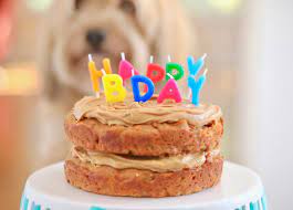This healthy birthday cake for dogs is the perfect recipe to make for any pawty! Peanut Butter Dog Cake Recipe Online