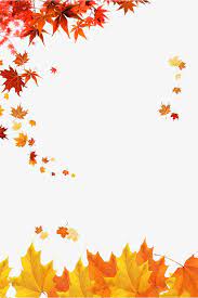 Feuilles Caduques Watercolor Autumn Leaves Fall Wallpaper Autumn Art