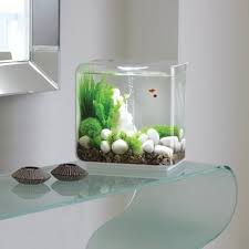 Aquarium spongebob ornament fish tank aquarium decor tank landscaping kid gift for home hot sale artificial aquarium plant decoration fish tank submersible flower grass decor ornament. 90 Aquarium Ideas Aquarium Aquarien Aquascaping