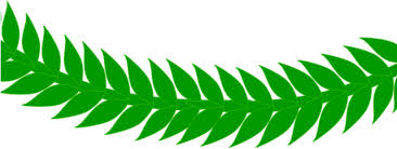 Browse relevant sites & find attention deficit hyperactivity disorder. Fern Clipart Daun Logo Png Download Full Size Clipart 1135638 Pinclipart