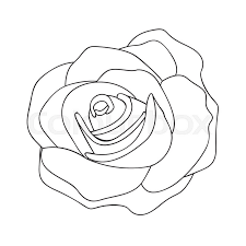 Rose Line Drawing Image Vector Stock Vector Colourbox Rose line art flower continuous one line art drawing vector minimalist design. rose line drawing image vector