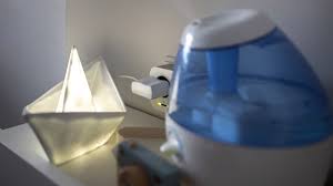 Anders ist es in kleinen wohnungen, in der nur eine person lebt. 5 Tipps Gegen Pollen In Der Wohnung Bosch Smart Home