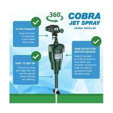 Limited time sale easy return. Hoont Cobra Motion Activated Powerful Outdoor Water Jet Blaster Animal Pest Repeller Blasts Cats Dogs Squirrels Birds Deer Shop Your Way Online Shopping Earn Points On Tools Appliances Electronics
