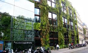 New buildings over 200 sq/m must apply green roofs, and green roof should cover 205 t0 60% of the total roof areas On Rooftops Of Paris Expect Green Roofs And Solar Panels Yes Magazine