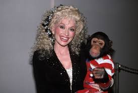 Dolly parton is a cultural icon whose powerful voice and songwriting skills have established her as a presence on both the country and pop music dolly parton. 40 Photos Of Dolly Parton Through The Years Rare Photos Of Young Dolly Parton
