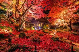 twitter 美しい風景 綺麗な景色 紅葉 絶景