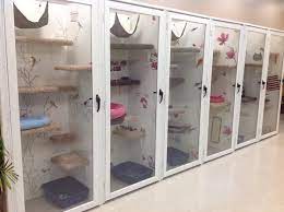 Great Option For Smaller Temporary Stay Rooms Dog Boarding Facility Cat Kennel Cat Room