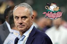 Capital Region Team Involved in Anti-Trust Lawsuit Against MLB