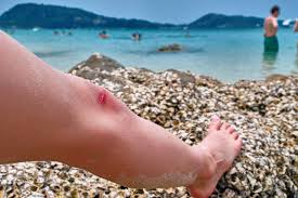 They can smell a drop of blood in the ocean a quarter of a mile away. Can A Shark Really Smell A Drop Of Blood From A Mile Away