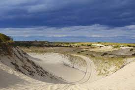 We did not find results for: Tour Provincetown S Dunes National Seashore Park Art S Dune Tours
