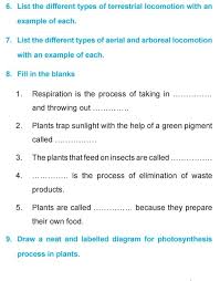 Grade 4 Science Lesson 4 Life Processes Primary Science Science Lessons Primary Science Science