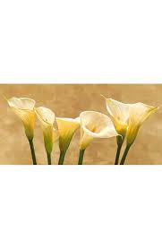 Vasi, arredare con i fiori. Quadro Fiori Calle Bianche Stampa Su Mdf O Tela Swarovski Arredo Casa Pannello Gambardella Pastori E Quadri