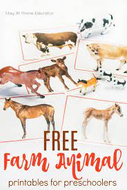 Use Free Farm Animal Printables To Develop Language Skills Download now or view online the free printable farm animals flashcards for kids on english language with real images.