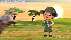 What Do Hippos Eat Lesson For Kids Video Lesson Transcript Study Com