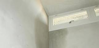 vochtbestrijding moeskroen kelder waterdicht maken muur waterdicht maken muur impregneren