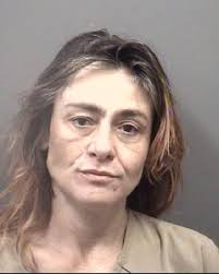 Connell, Trishia Bassett (W /F/45) Arrest