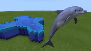 How To Save Dolphins (With Pictures) - Wikihow