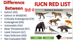 Check spelling or type a new query. Difference Between Extinct Extinct In Wild Critically Endangered Endangered Vulnerable Near Threaten Youtube