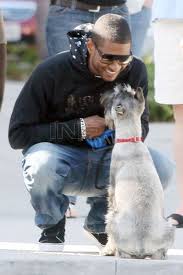 Usher And His Dog Pets Mansbestfriend Celebritypets Famouspets Adorable Doglover Ilovemydog Celebrity Dogs Dogs Man And Dog