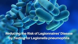 Legionella pneumonia tends to be more prevalent among immunocompromised patients. La Corretta Gestione Della Legionella Pneumophila Youtube