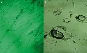 نتیجه جستجوی لغت [inclusions] در گوگل