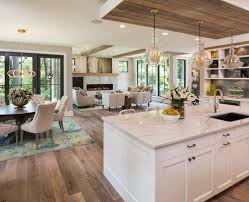 Interior Design Ideas Kitchen Living Room Small Space Pros Cons Open Closed Kitch Living Room And Kitchen Design Open Plan Kitchen Living Room Open Living Room