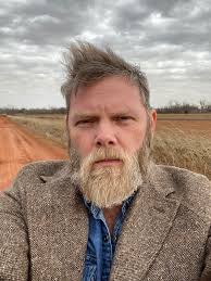 Dragonflies in the Afternoon