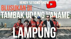 Blusukan Di Tambak Udang Vaname Lampung Hendy Setiono Show Youtube