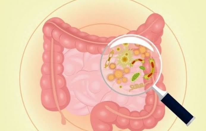 Vì sao trẻ bị rối loạn vi khuẩn đường ruột? | Vinmec