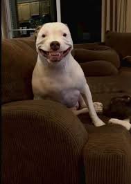 What You See At The Foot Of Your Bed In The Middle Of The Night When You Have Sleep Paralysis Memes