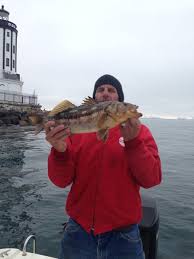 Bbq pit boys jitterbug and jacob hit the local pond for some fish tacos. Are Calico Bass Good Eating Bloodydecks