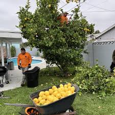 Acosta Los Angeles, CA