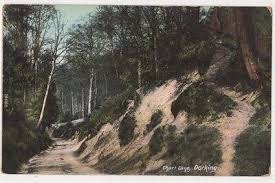 splendid rare old postcard the nower dorking surrey