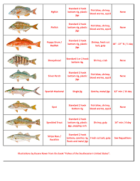 Depth Chart For Pamlico Sound Easybusinessfinance Net