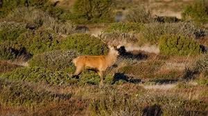 Ze staan in of nabij de mooiste natuur van dit gedeelte van denemarken. 19 Natuurparels In Denemarken Visitdenmark