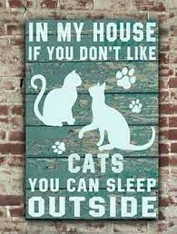 Http Www Cleaverkittycats Com Product Category Cats Treats Snacks Cat Quotes Crazy Cats Cat Signs