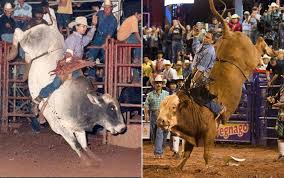 Pioneiro do rodeio em touros no Brasil, ex-pe&atilde;o cita evolu&ccedil;&atilde;o da modalidade  em 40 anos | Festa do Pe&atilde;o de Barretos 2019 | G1