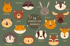 5,000+ vectors, stock photos & psd files. Forest Portrait Animals Set In Illustrations On Yellow Images Creative Store