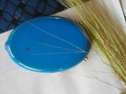 Image result for Aristida stipoides