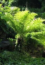 epingle sur jardin
