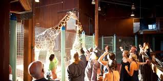 Explore an array of san francisco zoo, san francisco vacation rentals, including apartment and condo rentals, houses & more bookable online. San Francisco Zoo Venue San Francisco Price It Out