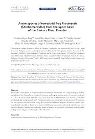 300 x 400 jpeg 47 кб. Pdf A New Species Of Terrestrial Frog Pristimantis Strabomantidae From The Upper Basin Of The Pastaza River Ecuador