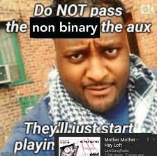 10,349 likes · 116 talking about this. Non Binary Meme Stupid Memes Danganronpa Memes Funny Memes