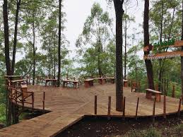 Busca y reserva un alojamiento único en airbnb. Rute Dan Lokasi Daun Coklat Malang Cafe Hits Dengan Nama Alias Dancok Suguhkan Nuansa Alam Daka Tour