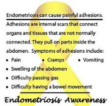 In this activity, students are divided into a group of hormones and a group of receptors. 99 Awareness Endometriosis Ideas Endometriosis Endometriosis Awareness Awareness