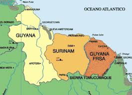 What is a surinam toad? Surinam La Desconocida Vivir En El Mundo