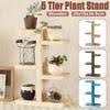 Maybe you would like to learn more about one of these? Buy Tiered Plant Stand At Affordable Price Best Prices Fast And Free Shipping Joom